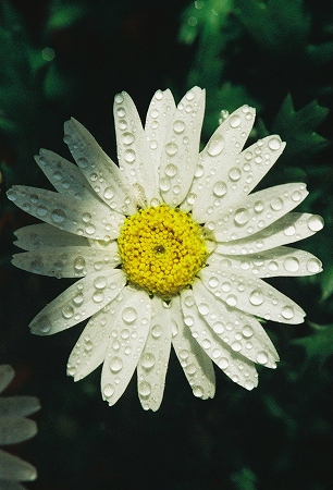 000010_edited-1.jpg