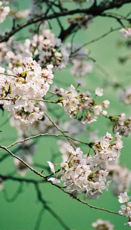 00a0020.jpg