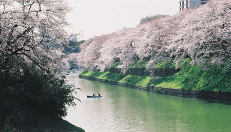 00a0023.jpg