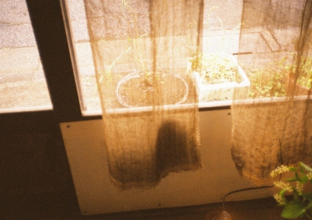 0d00025.jpg