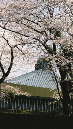 0a00014.jpg