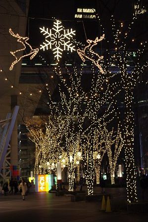 20091227P0006.jpg