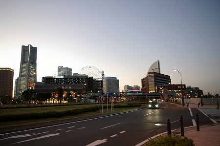 IMGP0250.jpg