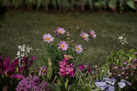 IMGP3330.jpg