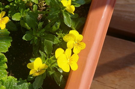 IMGP3683.jpg