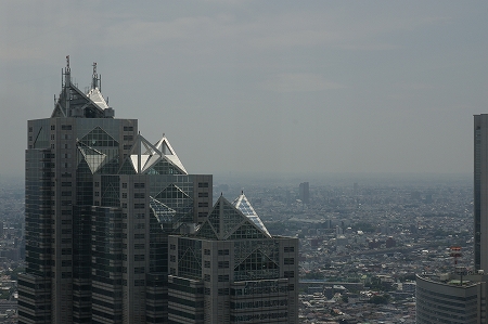 IMGP4081.jpg