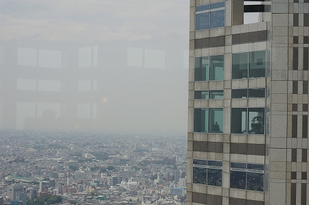 IMGP4087.jpg