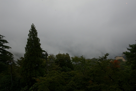 IMGP4557.jpg