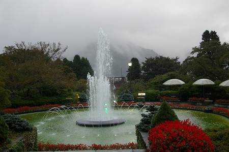 IMGP4645.jpg