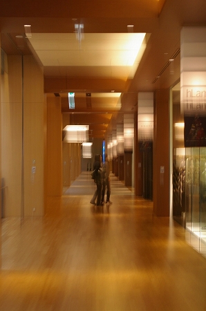 IMGP5234.jpg
