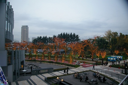 IMGP5269.jpg