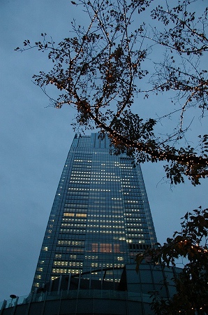 IMGP5285.jpg
