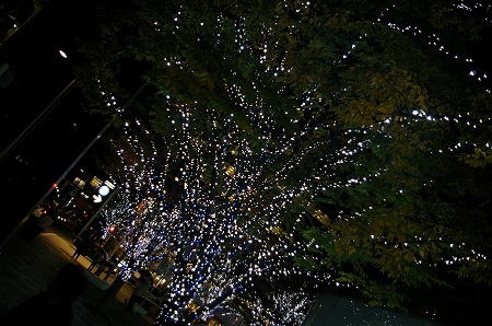 IMGP5313.jpg