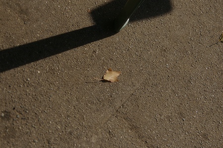 IMGP5440.jpg