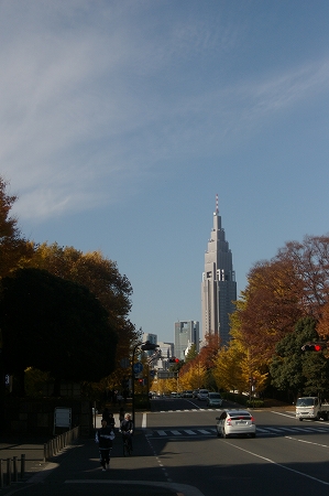 IMGP5450.jpg