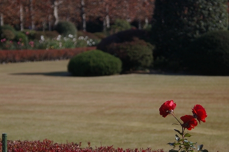IMGP5476.jpg