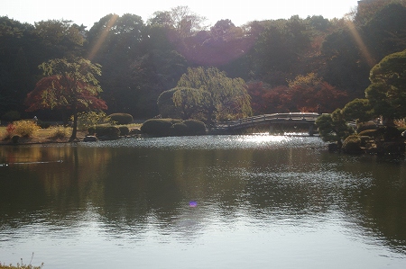 IMGP5503.jpg