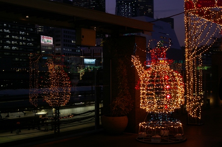IMGP5518.jpg