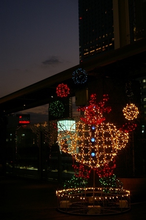 IMGP5529.jpg
