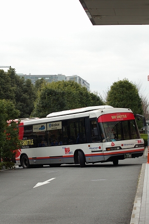 IMGP5904.jpg