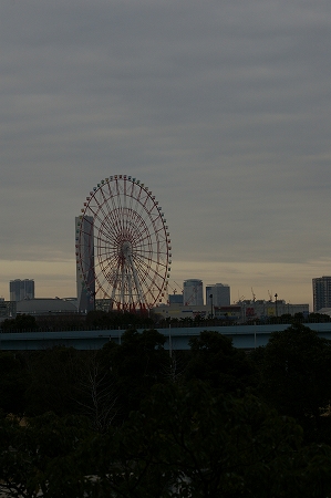 IMGP5943.jpg
