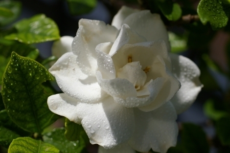 IMGP6290.jpg