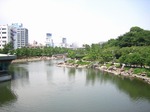 IMG_4321.jpg