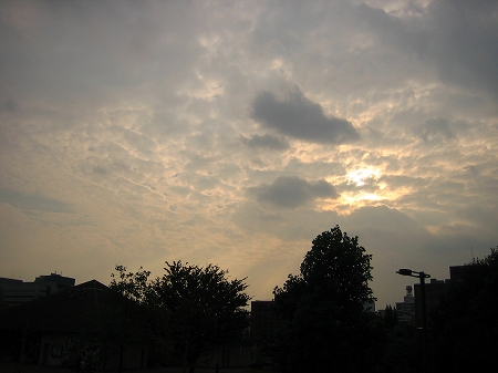 IMG_5101.jpg
