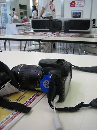 IMG_7290.jpg