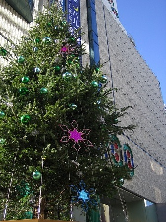 IMG_8234.jpg