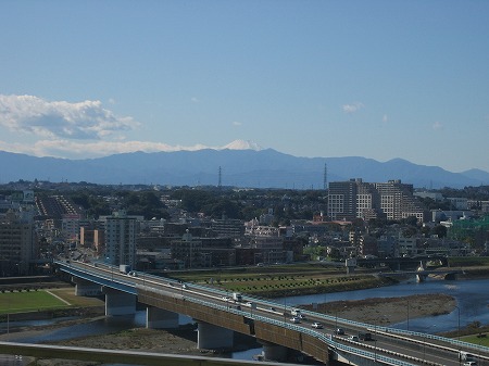 IMGll_1245.jpg
