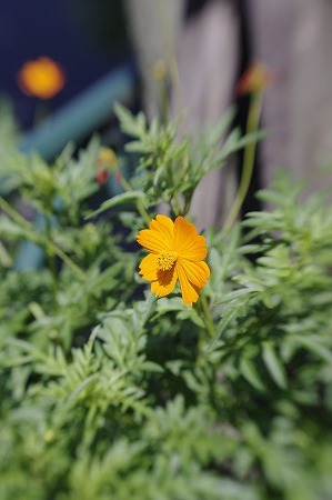 _IGP005501.jpg
