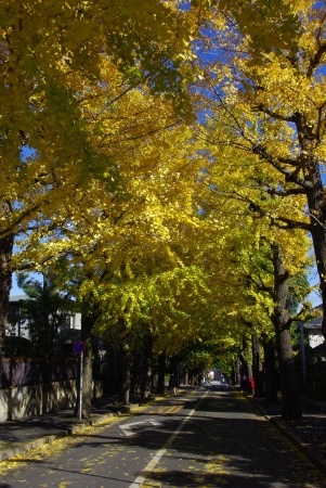_IGP0594.jpg