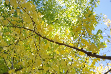 _IGP0603.jpg