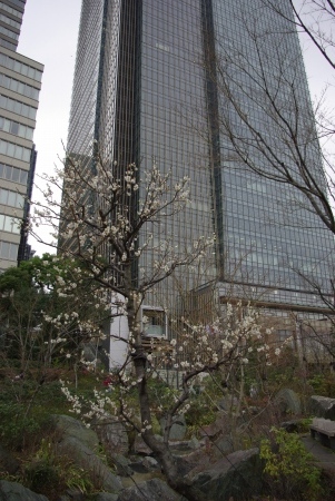 _IGP1279.jpg