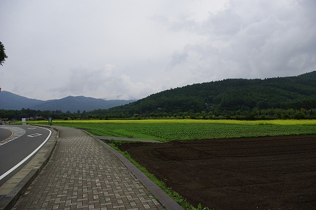 _IGP2080.jpg