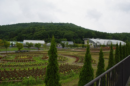 _IGP2113.jpg