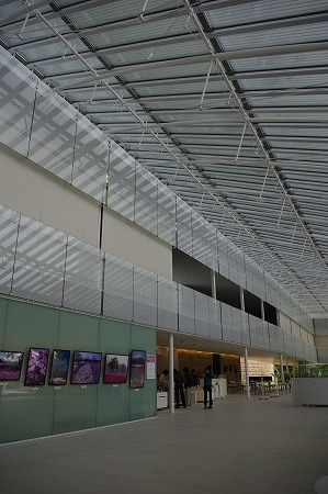 _IGP2114.jpg