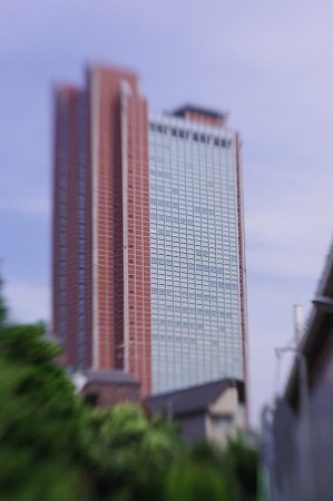 _IGP2148.jpg