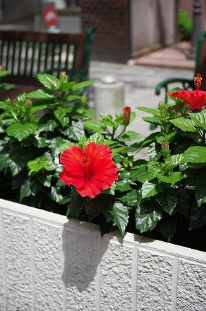 _IGP2222.jpg