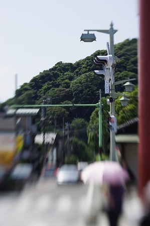 _IGP2284.jpg