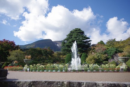 aaaIMGP0874 (12).jpg