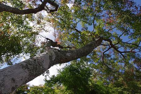 aaaIMGP0874 (14).jpg