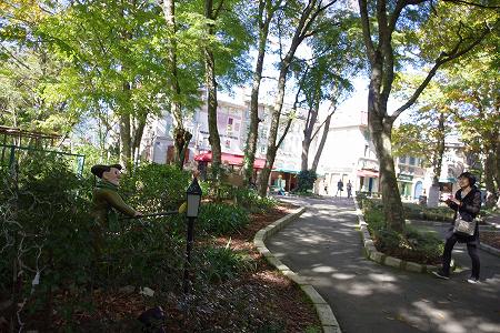aaaaIMGP0935 (3).jpg