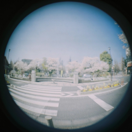 holga000001 (9).jpg