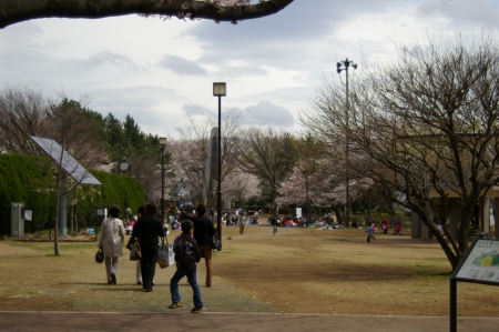 yumemigasakiIMGP0001 (11).jpg