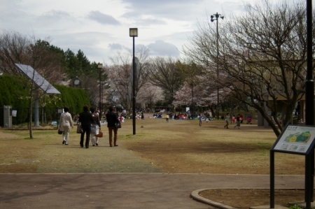 yumemigasakiIMGP0001 (12).jpg