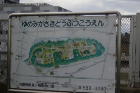 yumemigasakiIMGP0001 (3).jpg