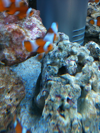 image-20110811095535.png